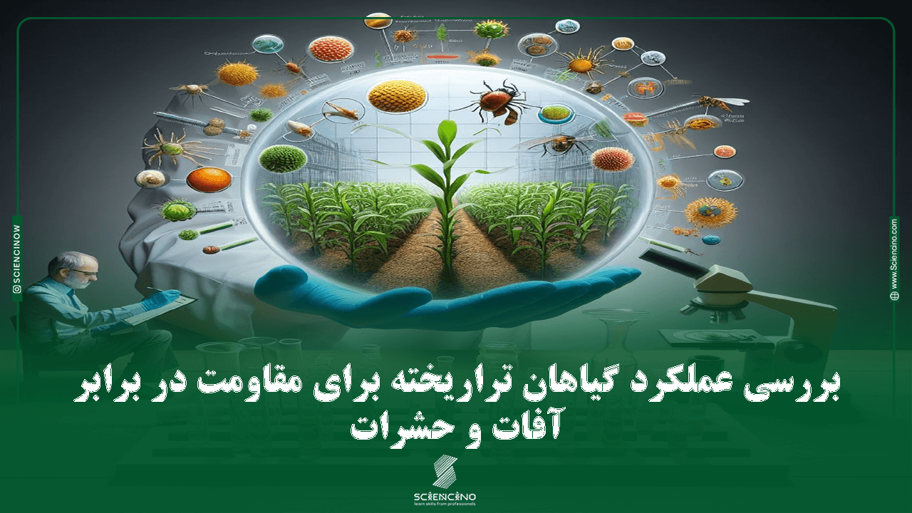 بررسی عملکرد گیاهان تراریخته برای مقاومت در برابر حشرات و آفات