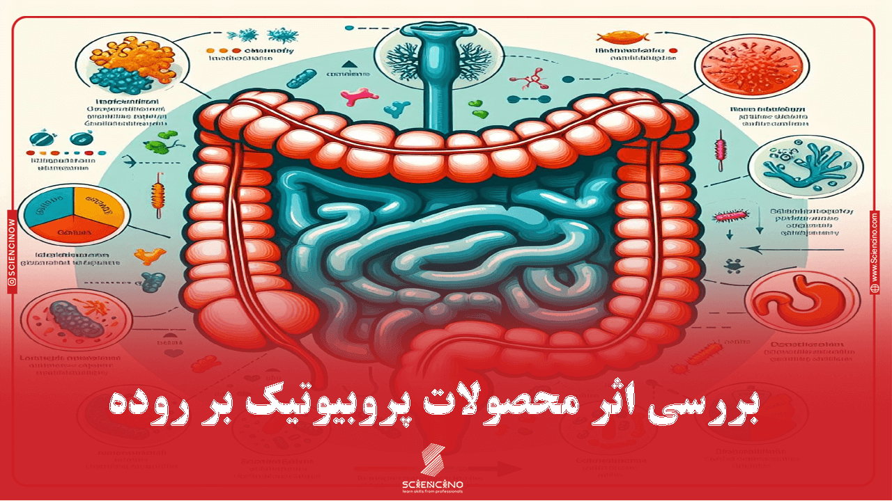 بررسی اثر محصولات پروبیوتیک بر روده