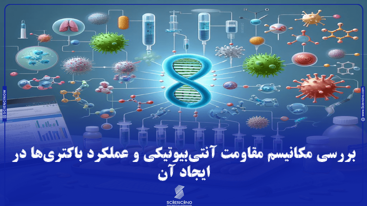 بررسی مکانیسم مقاومت آنتی‌بیوتیکی و عملکرد باکتری‌ها در ایجاد آن