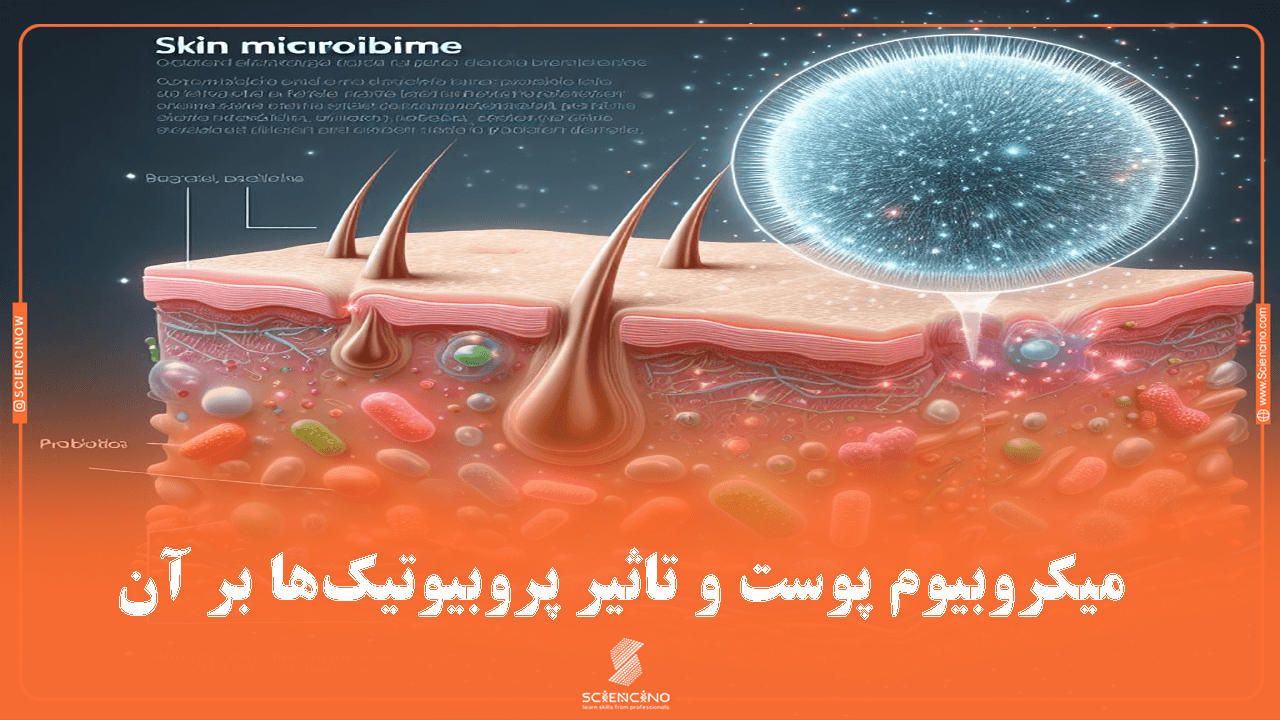 بررسی میکروبیوم پوست و تاثیر پروبیوتیک‌ها بر آن