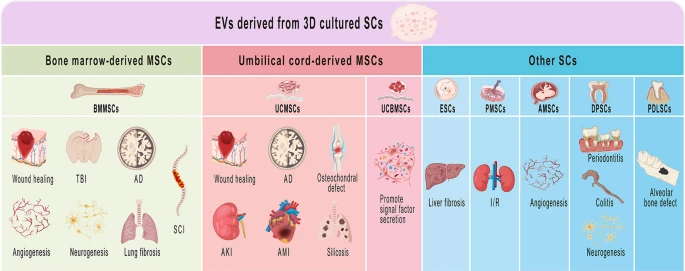 انواع وزیکول‌های خارج سلولی که از سلول‌های بنیادی مختلف مشتق می‌شوند.