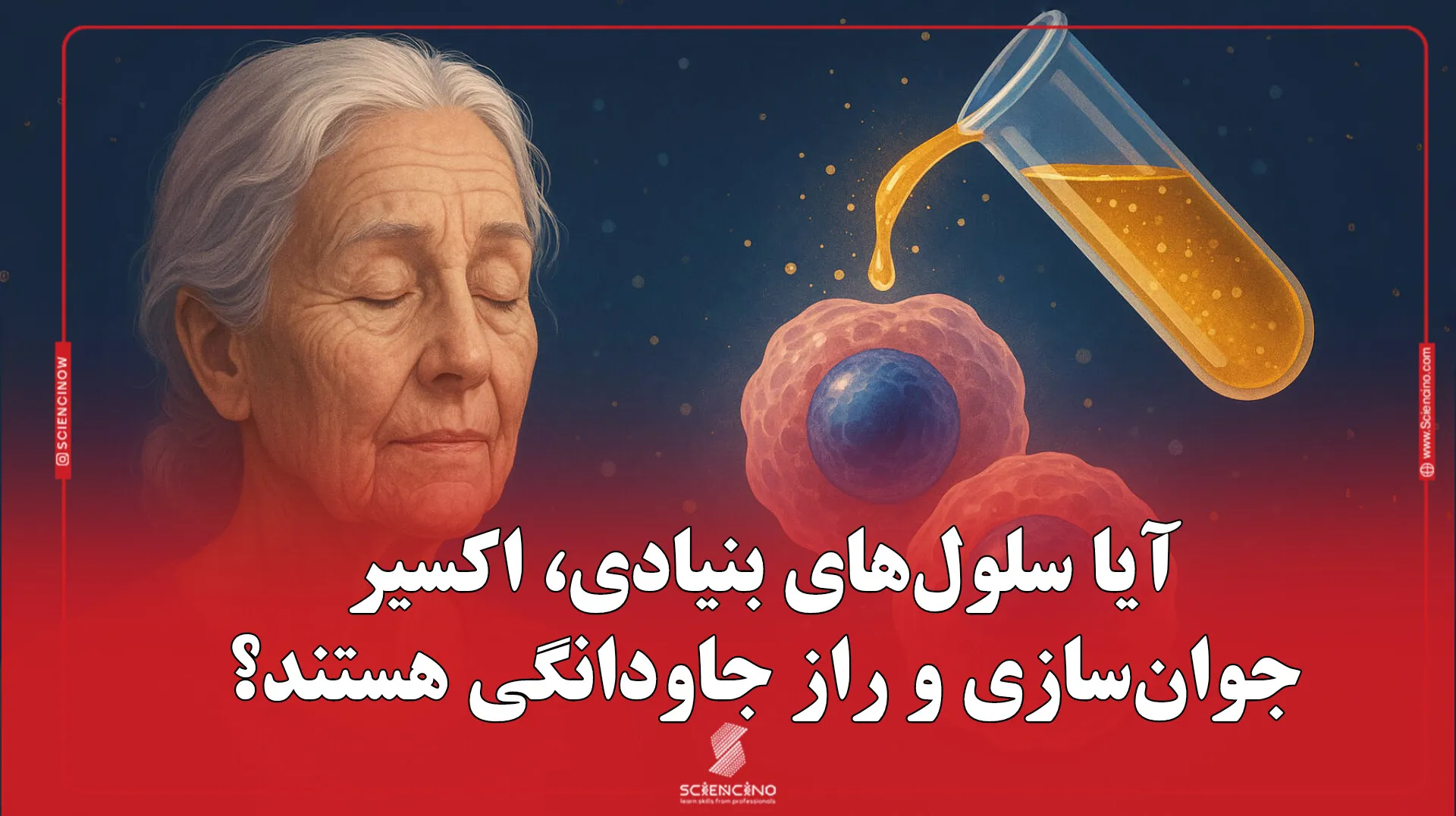 آیا سلول‌های بنیادی، اکسیر جوان‌سازی و راز جاودانگی هستند؟