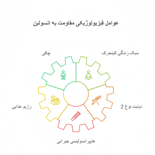 عوامل فیزیولوژیکی مقاومت به انسولین