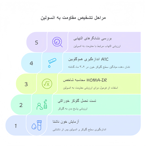 مراحل تشخیص مقاومت به انسولین