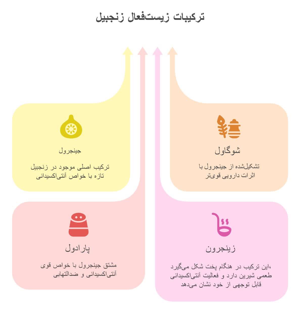 ترکیبات زیست فعال زنجبیل