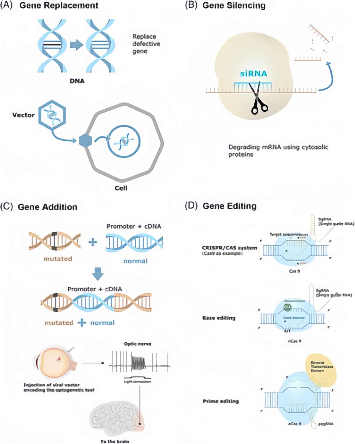 تصویر 1. چهار استراتژی اصلی ژن‌درمانی