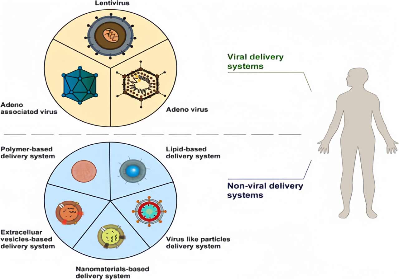 تصویر 2. سیستم‌های دارورسانی شامل تحویل ویروسی و غیرویروسی