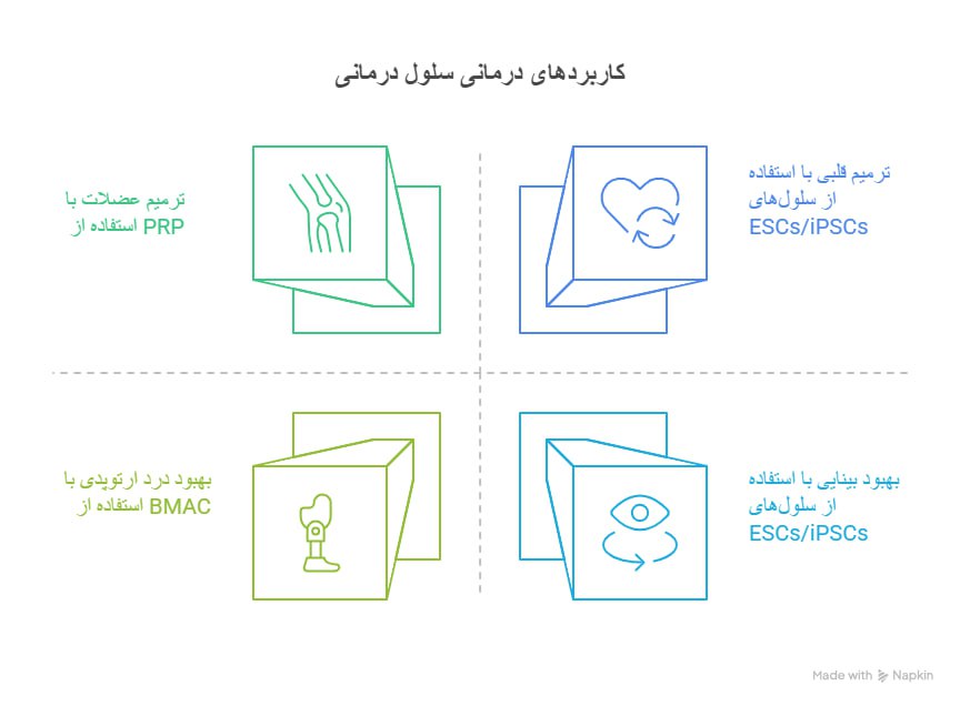 تصویر 3. حوزه‌های تحقیقاتی و امیدوارکننده