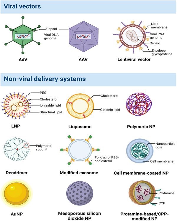 تصویر 3. دسته‌بندی سیستم‌های ویروسی و غیرویروسی