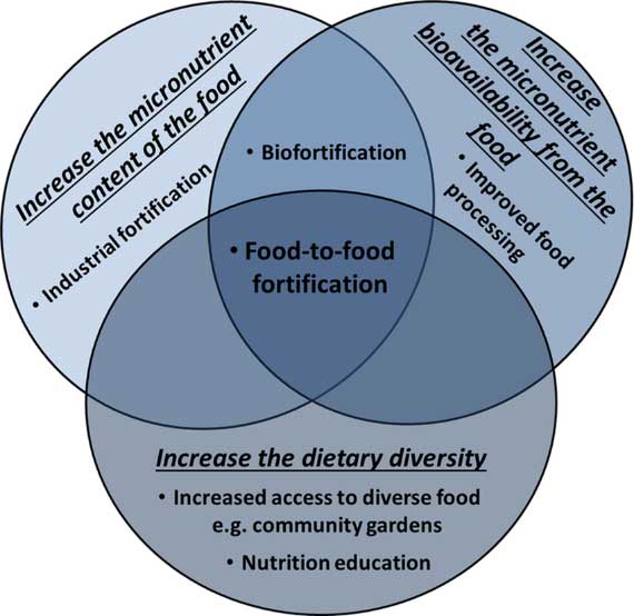 تصویر 3. فورتیفیکیشن غذا به غذا