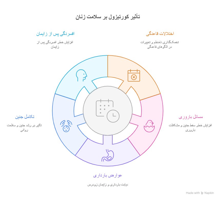 تصویر 4. تأثیر کورتیزول بر سلامت زنان و چرخه قاعدگی