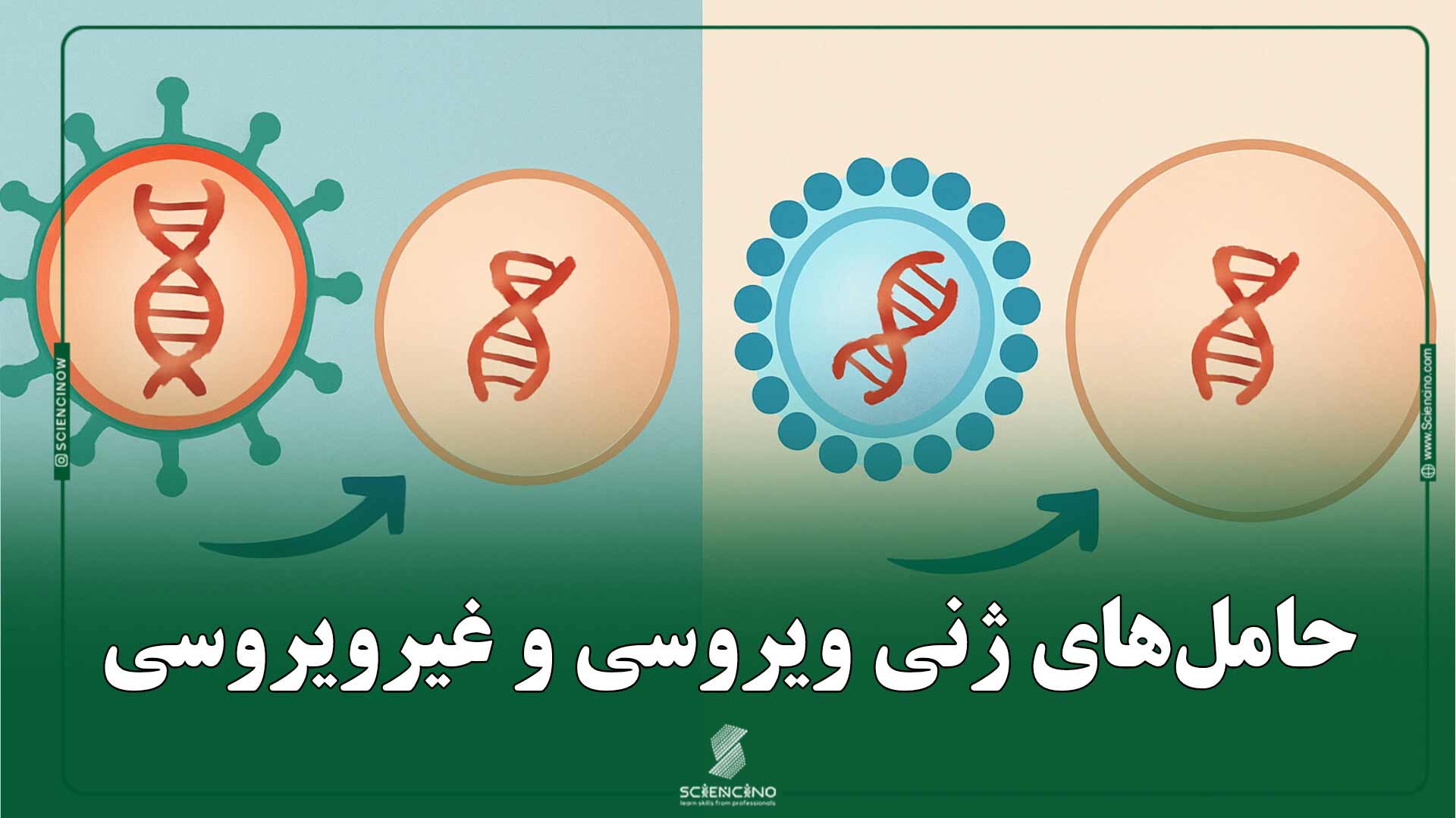 حامل‌های-ژنی-ویروسی-و-غیرویروسی