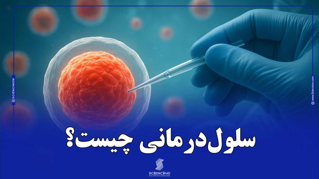 سلول‌درمانی-چیست؟