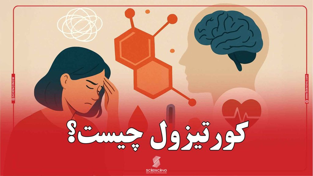 کورتیزول چیست؟