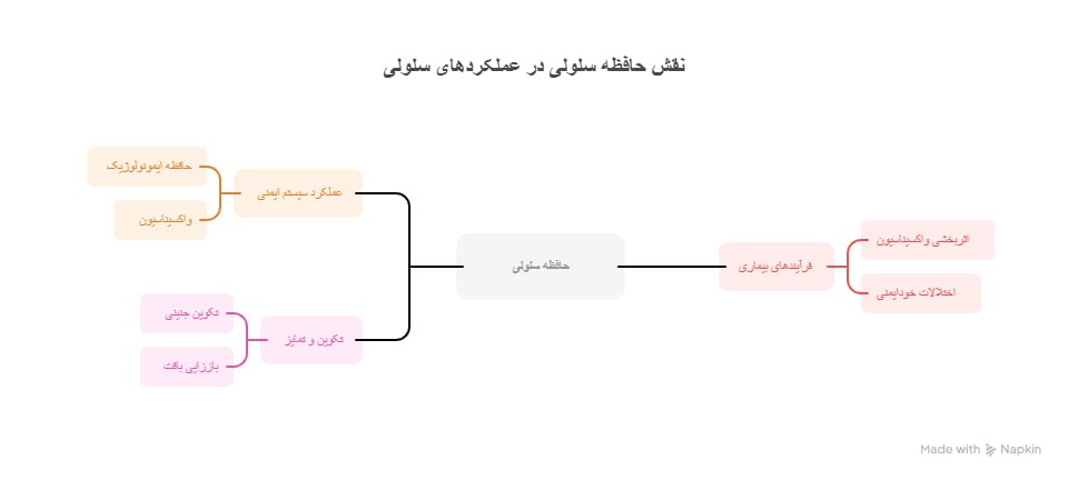 نقش حافظه سلولی در عملکردهای سلولی