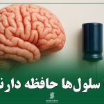 آیا سلول‌ها حافظه دارند؟