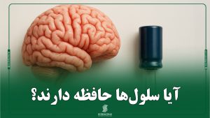 آیا سلولها حافظه دارند؟