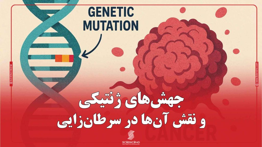 جهش‌های ژنتیکی و نقش آن‌ها در سرطان‌زایی