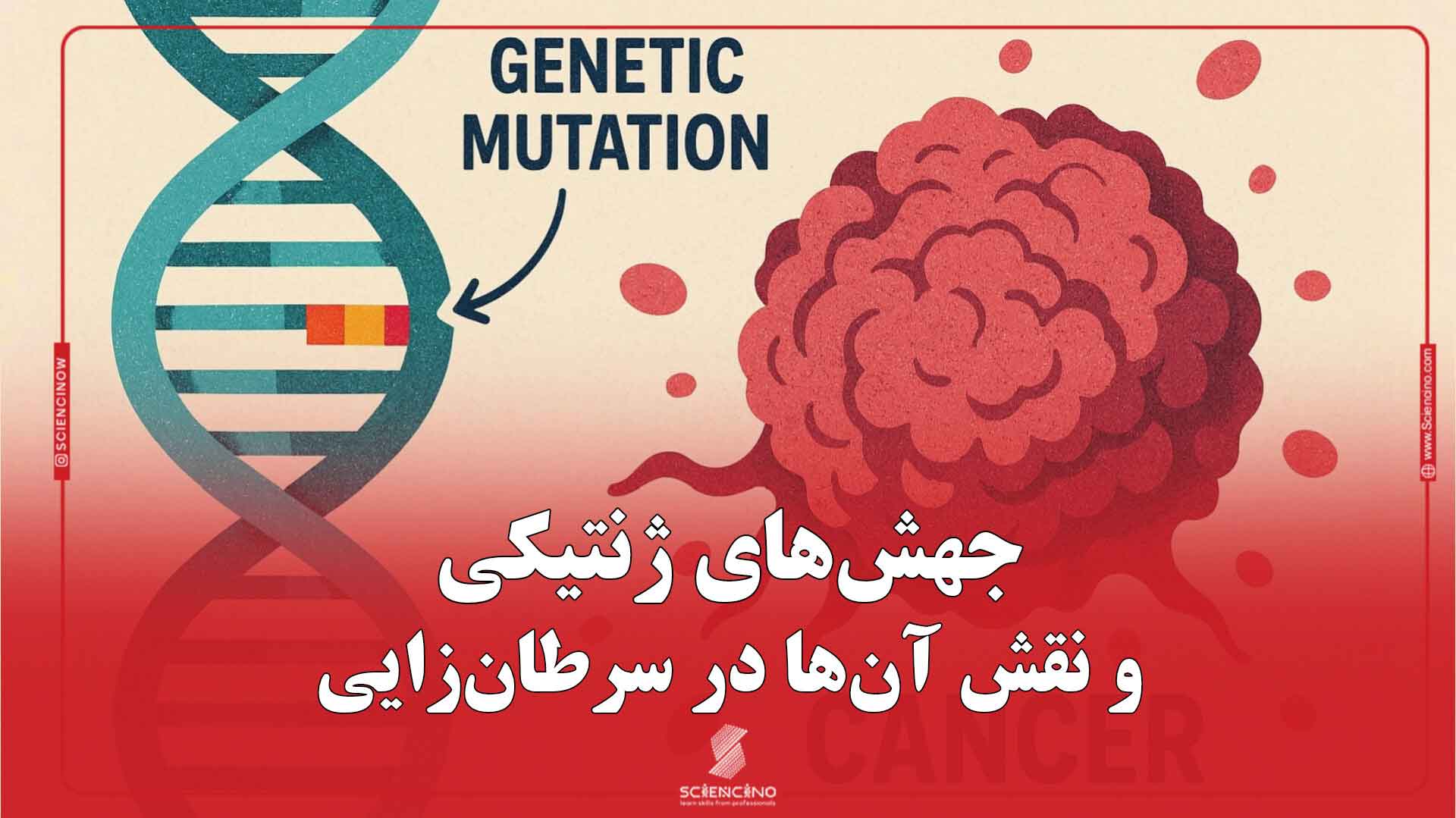 جهش‌های ژنتیکی و نقش آن‌ها در سرطان‌زایی