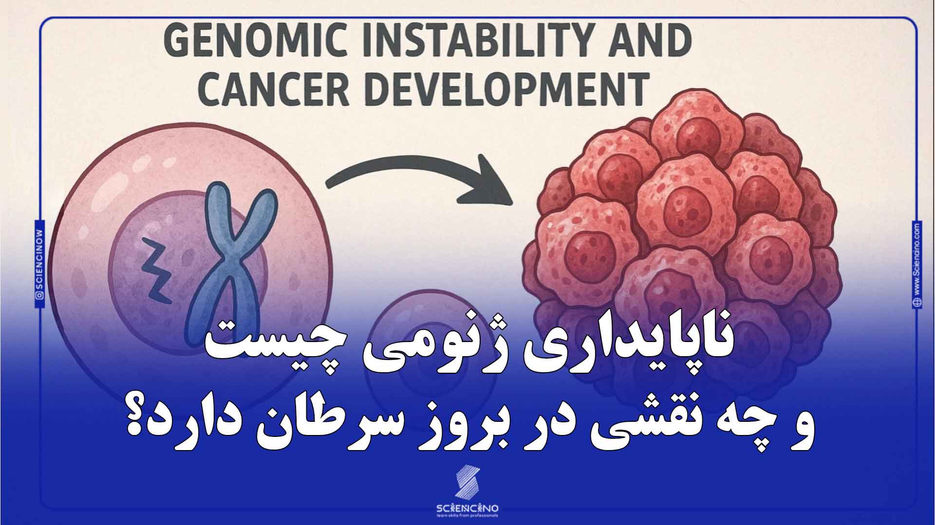 ناپایداری ژنومی چیست و چه نقشی در بروز سرطان دارد؟