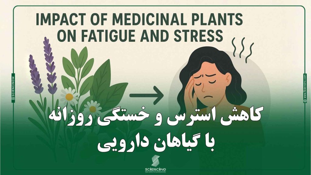 کاهش استرس و خستگی روزانه با گیاهان دارویی