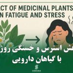 کاهش استرس و خستگی روزانه با گیاهان دارویی