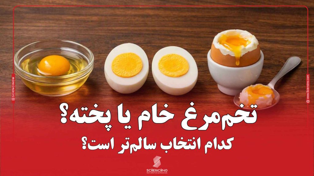 تخم‌مرغ-خام-یا-پخته؟