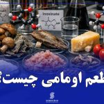 طعم-اومامی-چیست؟