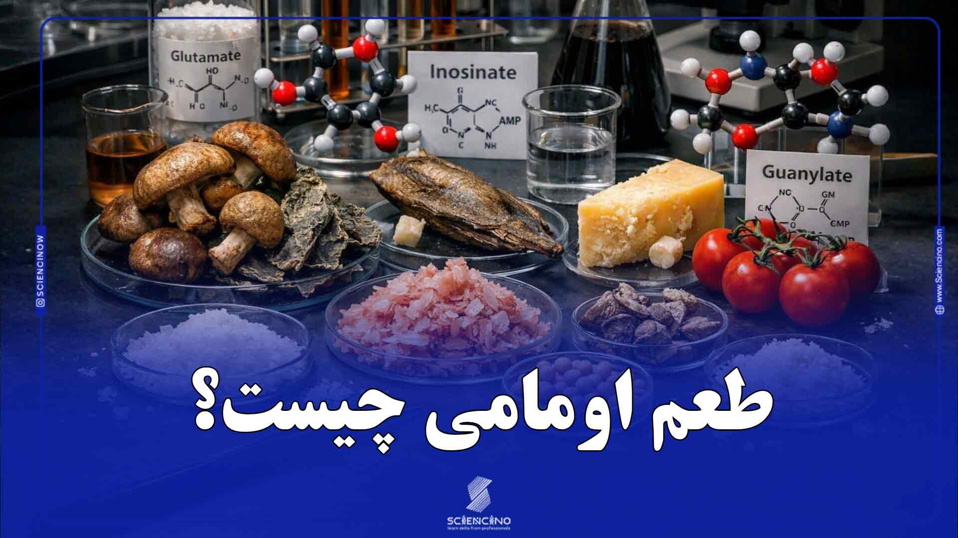 طعم-اومامی-چیست؟