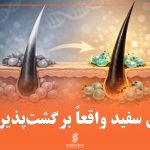 آیا موی سفید واقعاً برگشت‌پذیر است؟