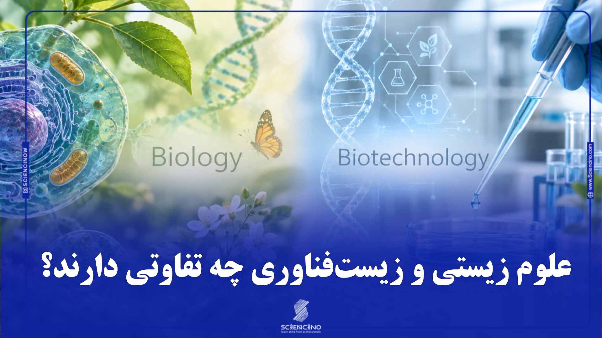 تفاوت-علوم-زیستی-و-بیوتکنولوژی