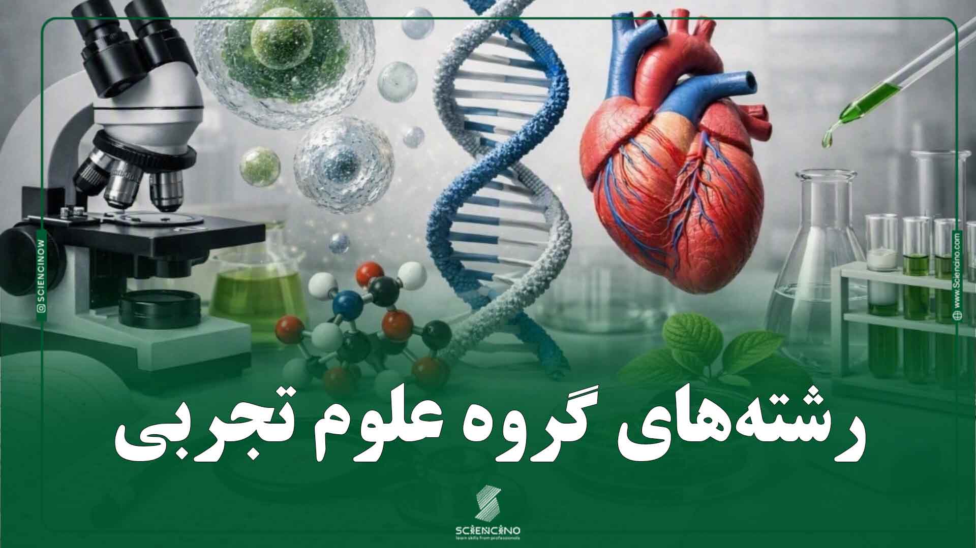رشته‌های گروه علوم تجربی